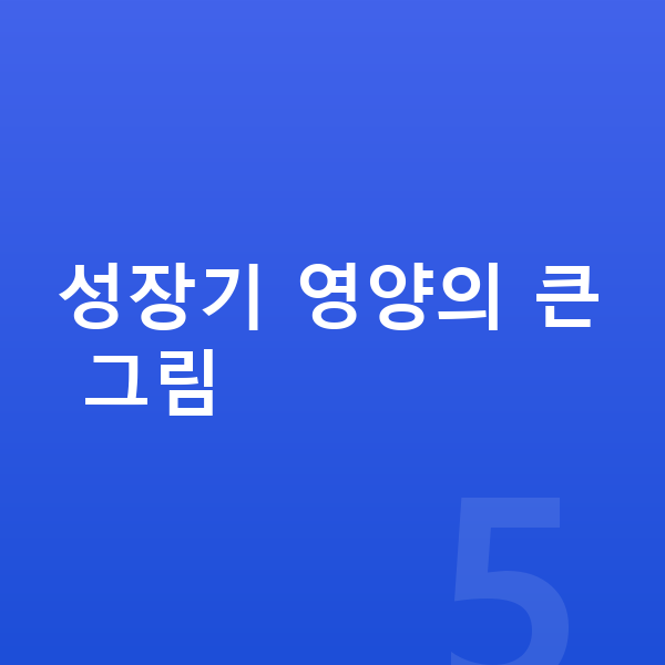 키즈 영양 성장기 영양의 큰 그림