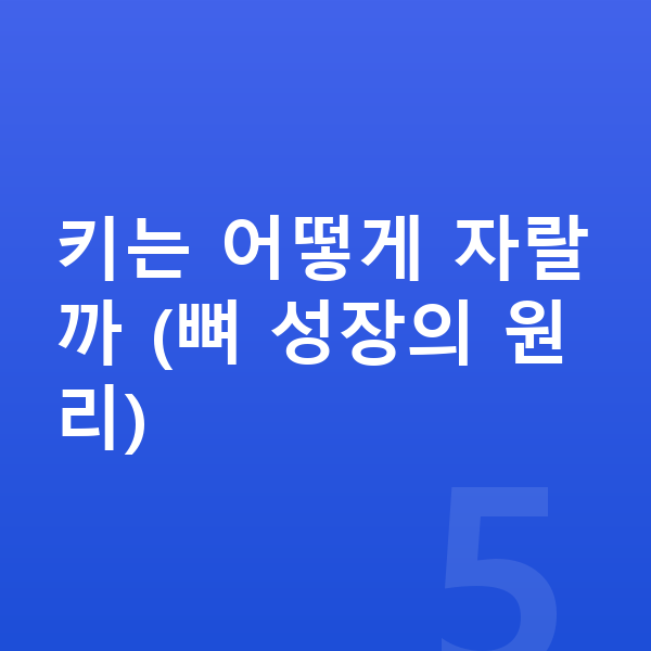 키즈 키성장영양제 키는 어떻게 자랄까 (뼈 성장의 원리)