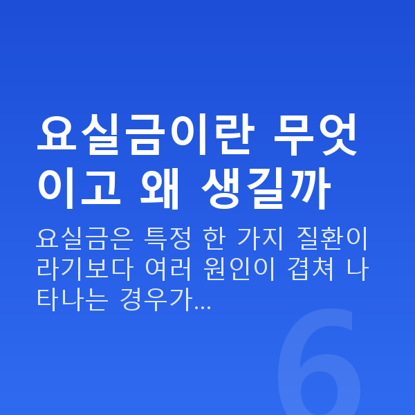 요실금 요실금이란 무엇이고 왜 생길까