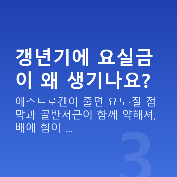 갱년기 부부관계 갱년기에 요실금이 왜 생기나요?