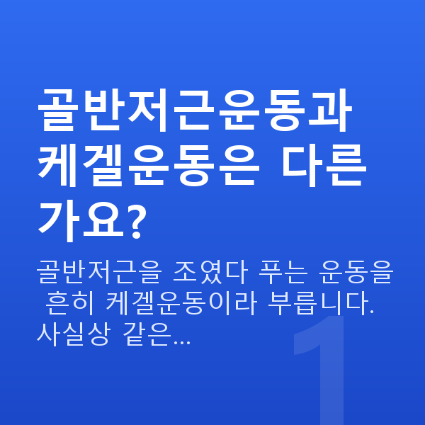 골반저근운동 골반저근운동과 케겔운동은 다른가요?