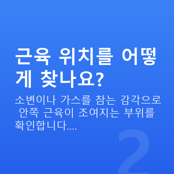 골반저근운동 근육 위치를 어떻게 찾나요?