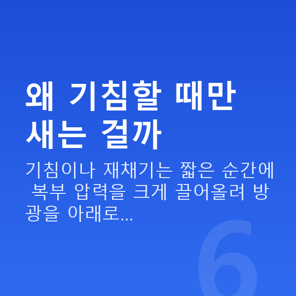 기침요실금 왜 기침할 때만 새는 걸까