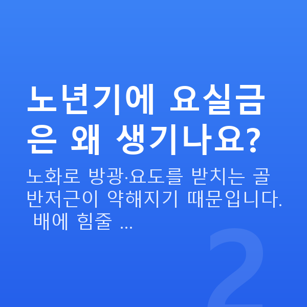 노년 부부관계 노년기에 요실금은 왜 생기나요?