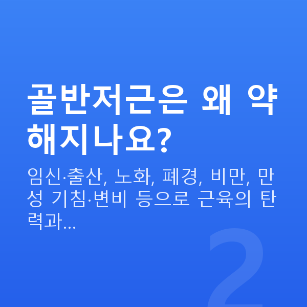 명기되는법 골반저근은 왜 약해지나요?