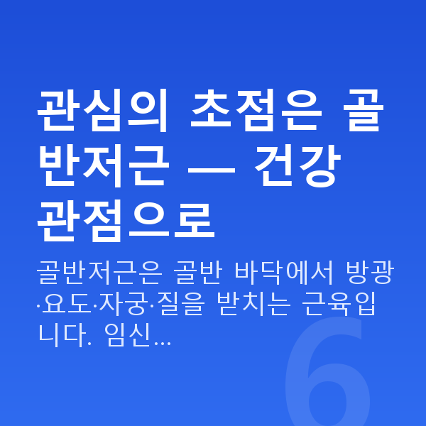 명기되는법 관심의 초점은 골반저근 — 건강 관점으로