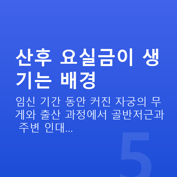 산후요실금 산후 요실금이 생기는 배경