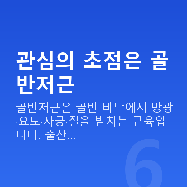 수술없는질수축 관심의 초점은 골반저근