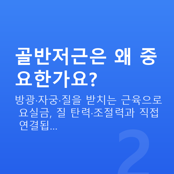여성성건강 골반저근은 왜 중요한가요?