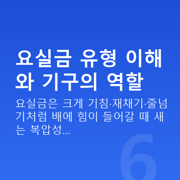 요실금운동기구 요실금 유형 이해와 기구의 역할