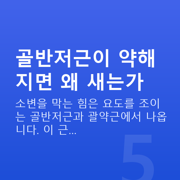 요실금원인 골반저근이 약해지면 왜 새는가