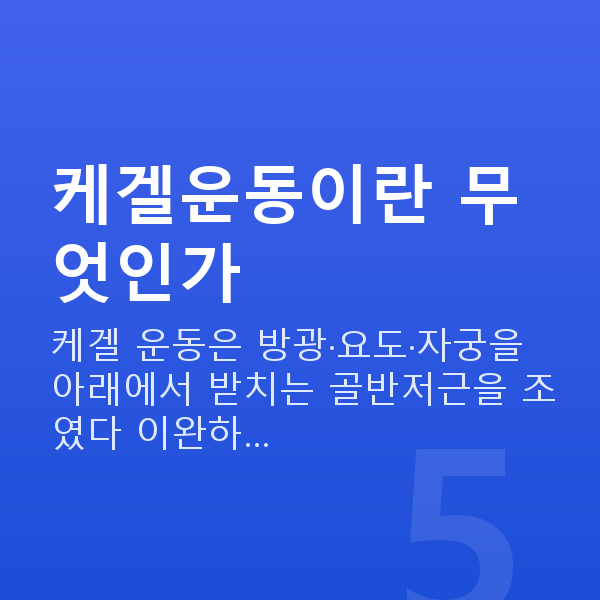 요실금케겔운동 케겔운동이란 무엇인가