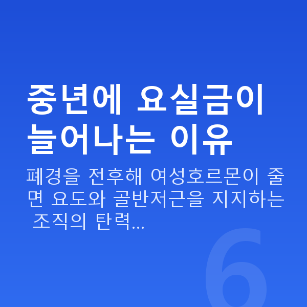 중년요실금 중년에 요실금이 늘어나는 이유