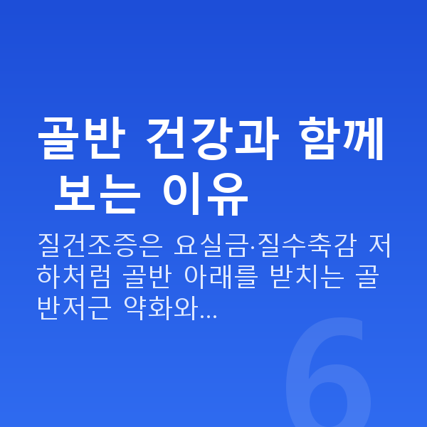 질건조증 골반 건강과 함께 보는 이유