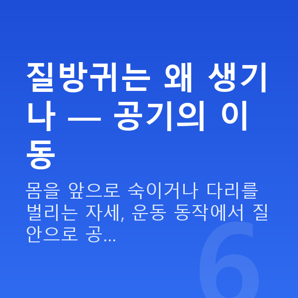 질방귀원인 질방귀는 왜 생기나 — 공기의 이동
