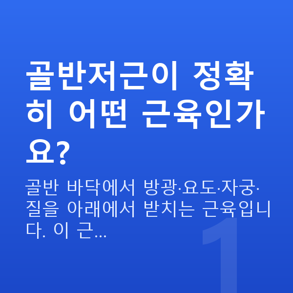 질수축 골반저근이 정확히 어떤 근육인가요?