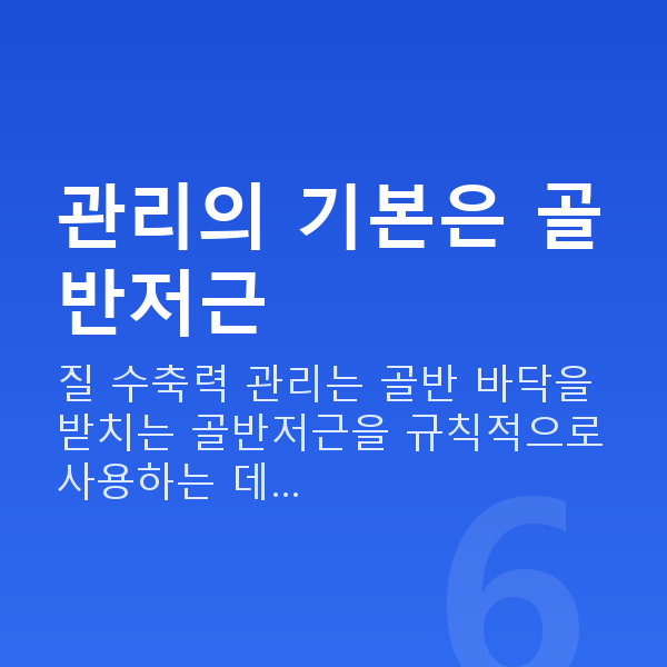 질수축관리 관리의 기본은 골반저근