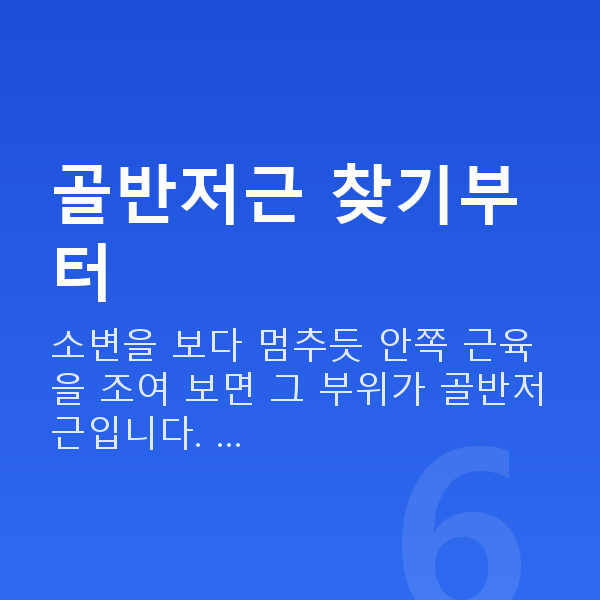 질수축방법 골반저근 찾기부터
