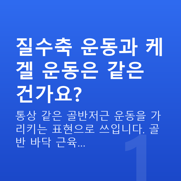 질수축운동 질수축 운동과 케겔 운동은 같은 건가요?