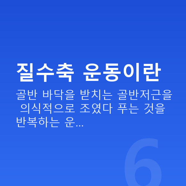 질수축운동 질수축 운동이란