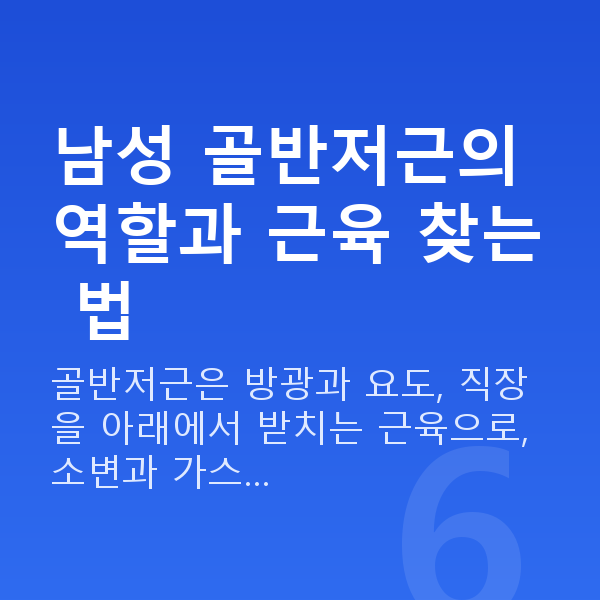 케겔운동남성 남성 골반저근의 역할과 근육 찾는 법