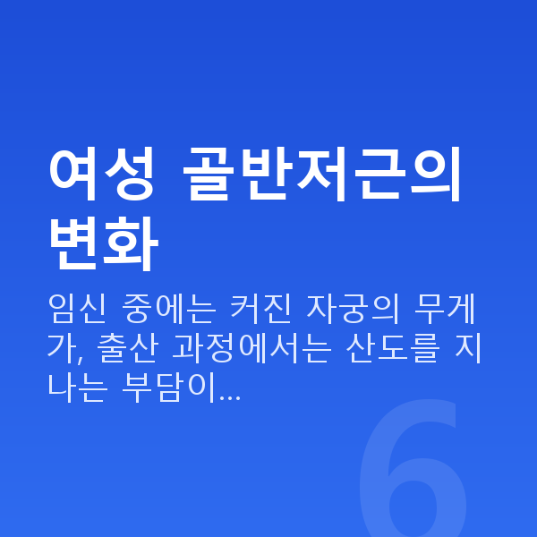 케겔운동여성 여성 골반저근의 변화
