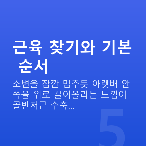 케겔운동하는법 근육 찾기와 기본 순서