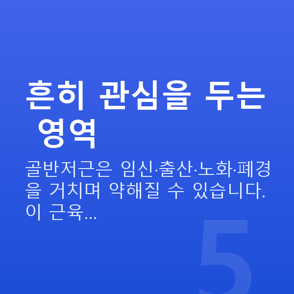 케겔운동효과 흔히 관심을 두는 영역