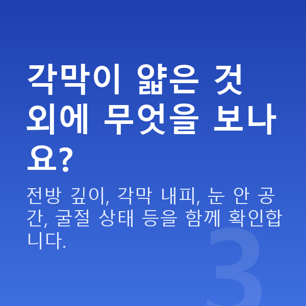 각막얇을때렌즈삽입술 각막이 얇은 것 외에 무엇을 보나요?