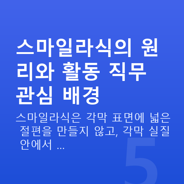 경찰스마일라식 스마일라식의 원리와 활동 직무 관심 배경