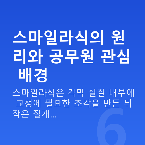 공무원스마일라식 스마일라식의 원리와 공무원 관심 배경