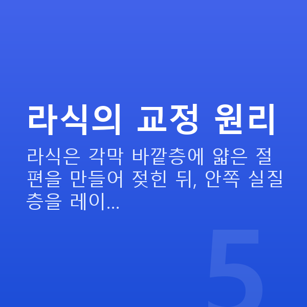 근시라식 라식의 교정 원리