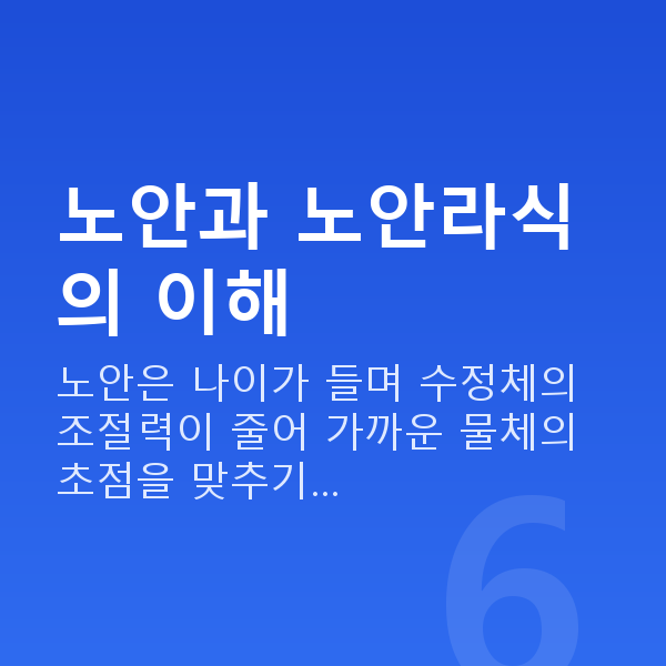 노안라식 노안과 노안라식의 이해