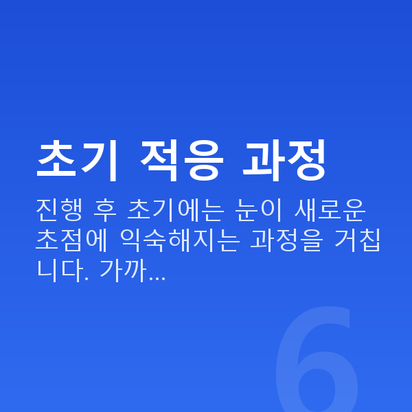 노안라식회복기간 초기 적응 과정