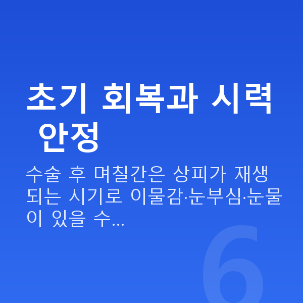노터치라섹회복기간 초기 회복과 시력 안정