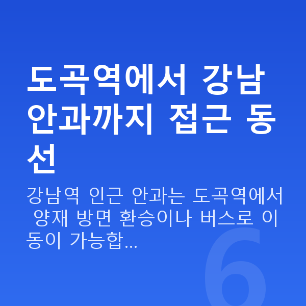도곡역라섹 도곡역에서 강남 안과까지 접근 동선