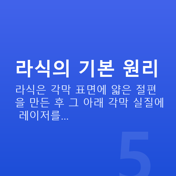 라식 라식의 기본 원리