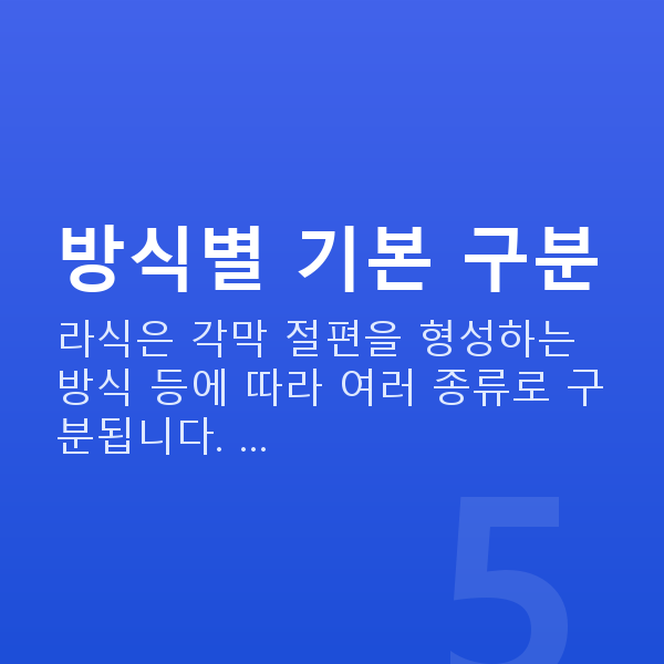 라식종류 방식별 기본 구분