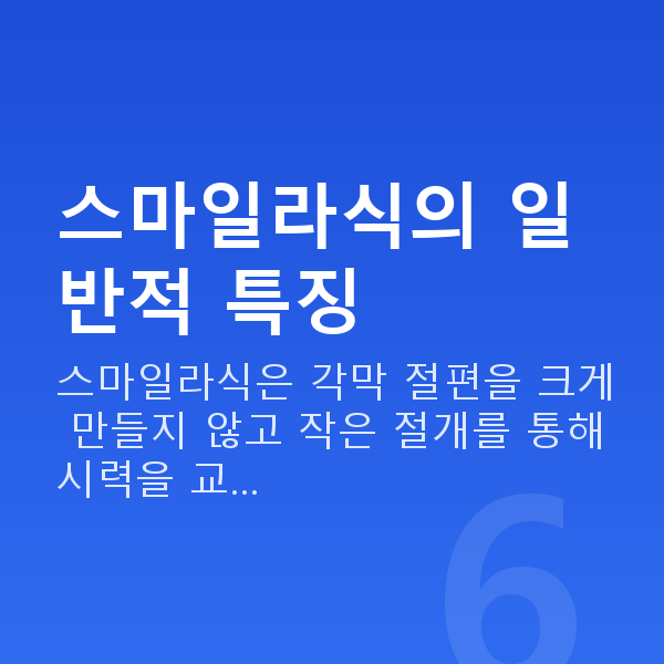 스마일라식혜택 스마일라식의 일반적 특징