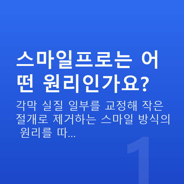 스마일프로원리 스마일프로는 어떤 원리인가요?