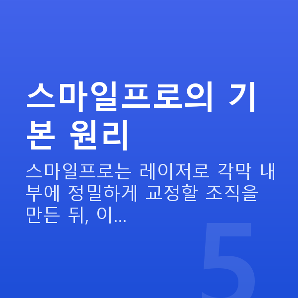 스마일프로원리 스마일프로의 기본 원리