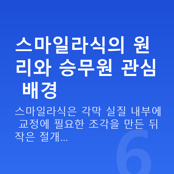승무원스마일라식 스마일라식의 원리와 승무원 관심 배경