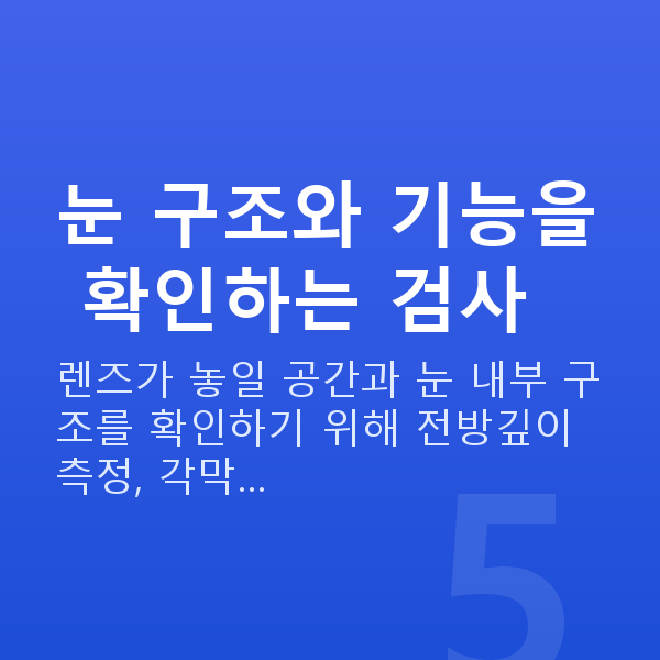 알티산렌즈삽입술검사항목 눈 구조와 기능을 확인하는 검사