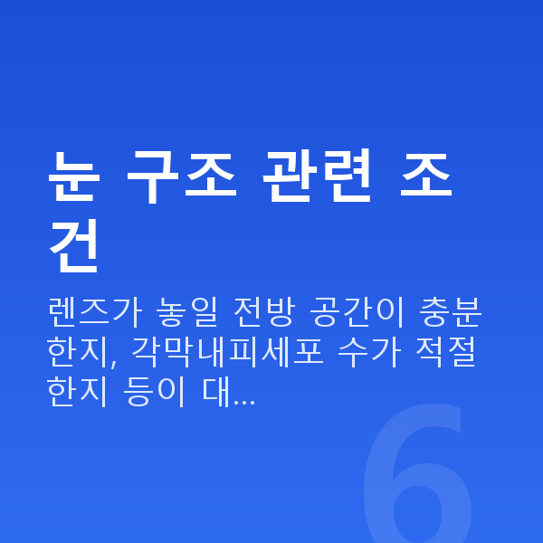 알티플렉스렌즈삽입술가능조건 눈 구조 관련 조건