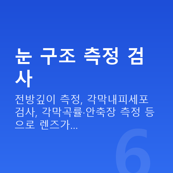 알티플렉스렌즈삽입술검사항목 눈 구조 측정 검사