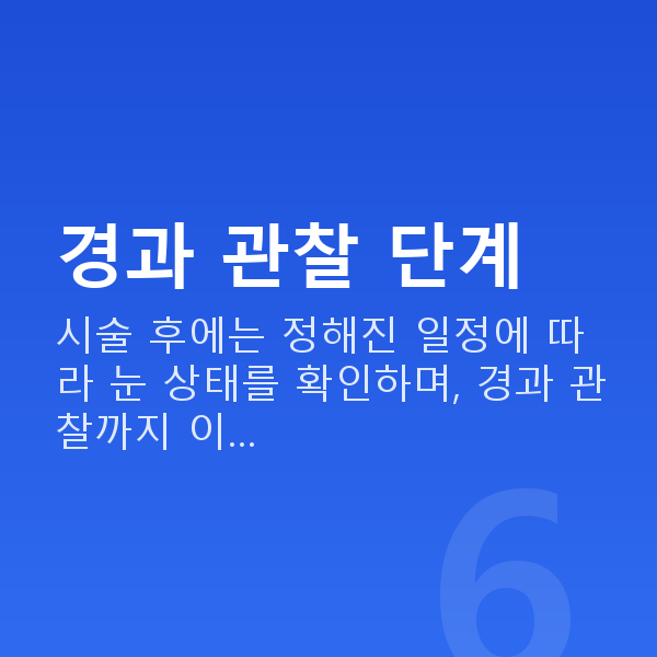 알티플렉스렌즈삽입술과정 경과 관찰 단계