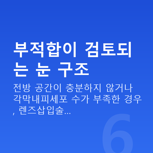 알티플렉스렌즈삽입술부적합 부적합이 검토되는 눈 구조