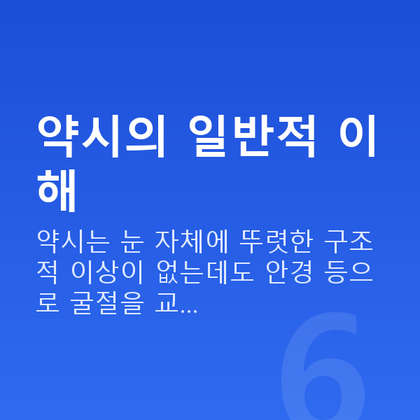 약시 약시의 일반적 이해