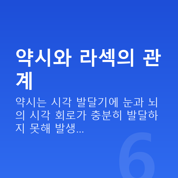약시라섹 약시와 라섹의 관계
