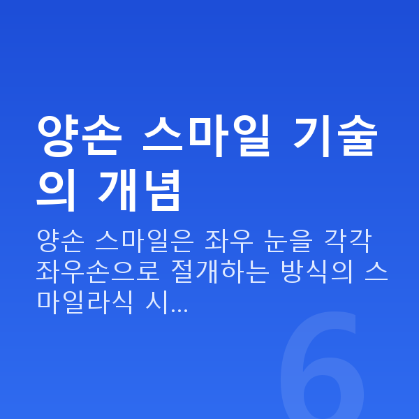 양손스마일 양손 스마일 기술의 개념
